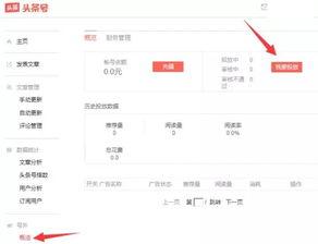 今日头条小说爆料群,揭秘热门小说背后的秘密与幕后故事  第1张