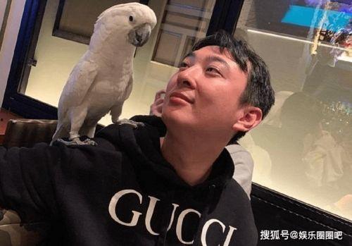 王思聪今日史诗级爆料,揭秘娱乐圈不为人知的秘密  第1张